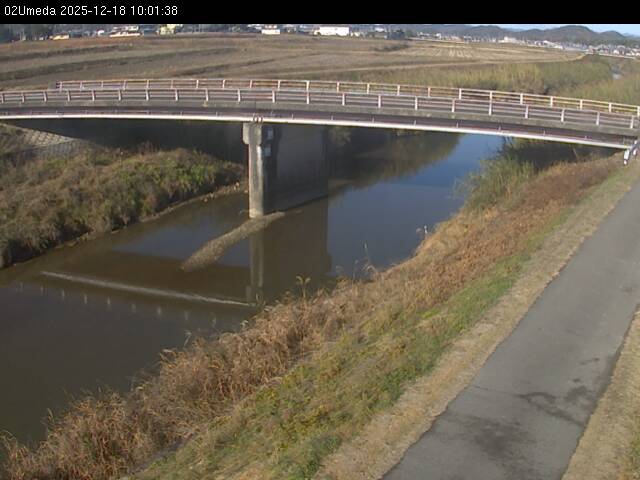 最新監視カメラ画像