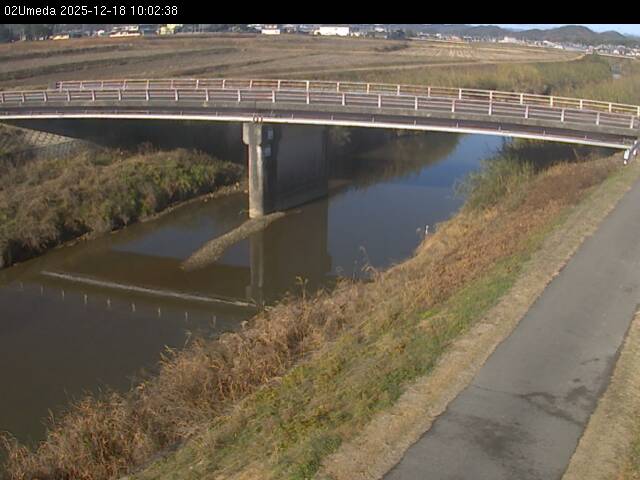 最新監視カメラ画像