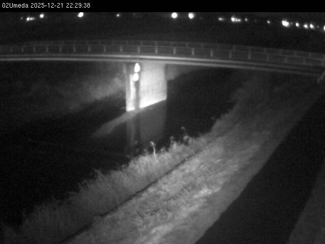 最新監視カメラ画像