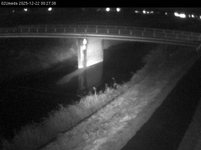 最新監視カメラ画像