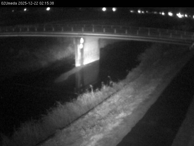 最新監視カメラ画像