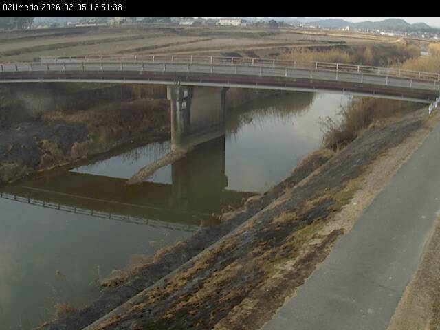 最新監視カメラ画像