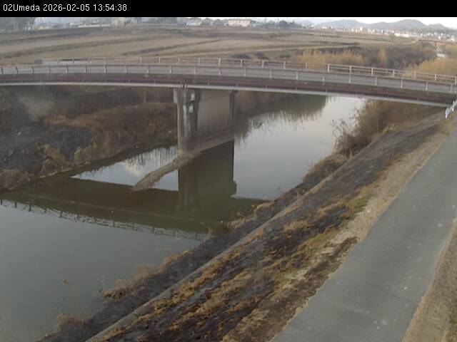 最新監視カメラ画像