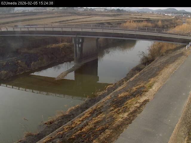 最新監視カメラ画像