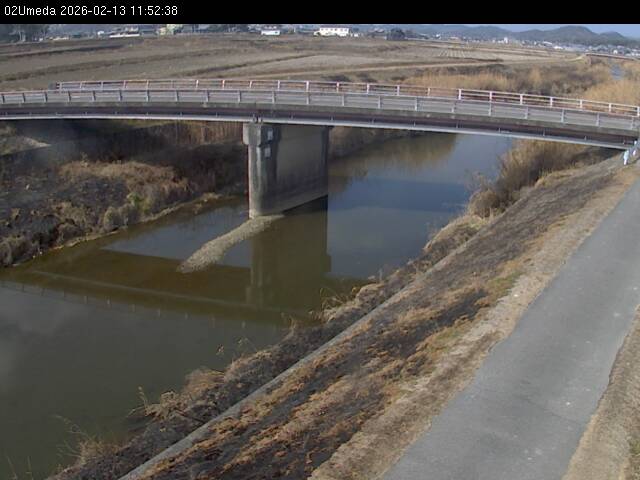 最新監視カメラ画像