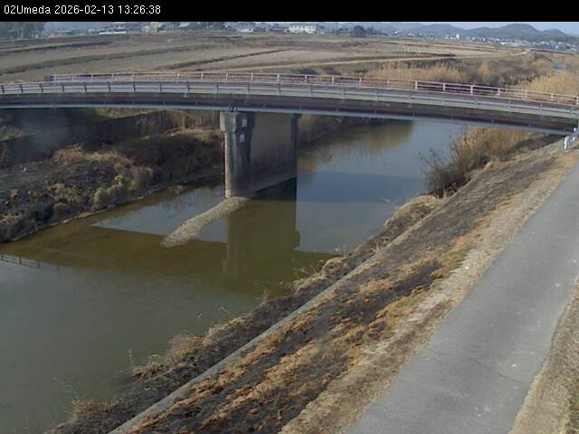 最新監視カメラ画像