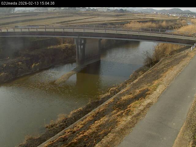 最新監視カメラ画像