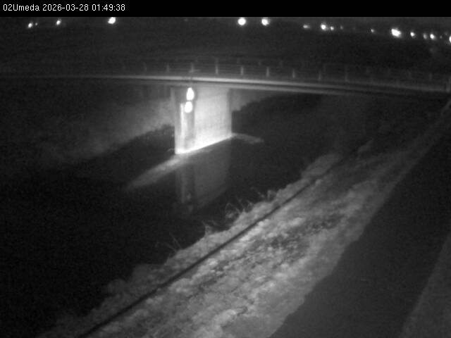 最新監視カメラ画像