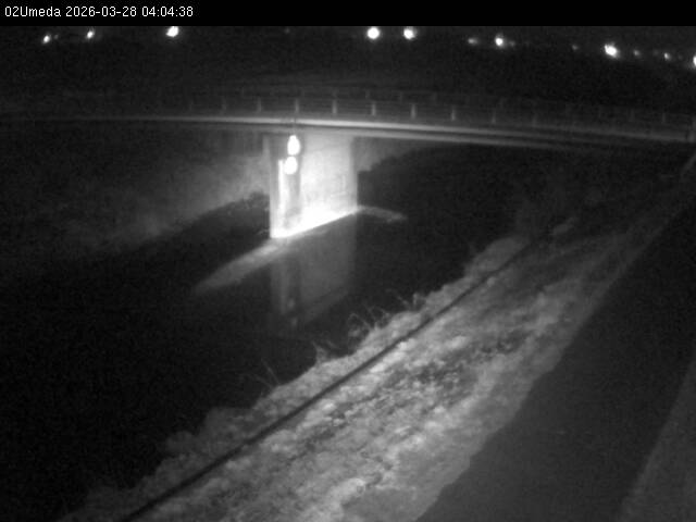 最新監視カメラ画像