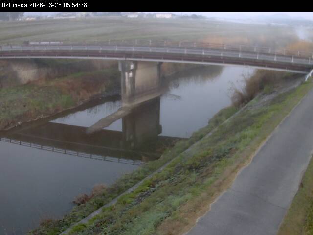 最新監視カメラ画像