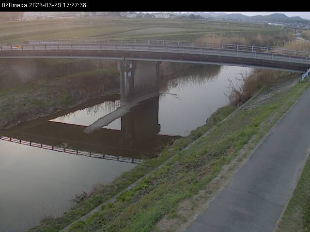 最新監視カメラ画像