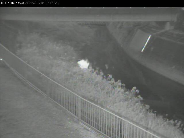 最新監視カメラ画像