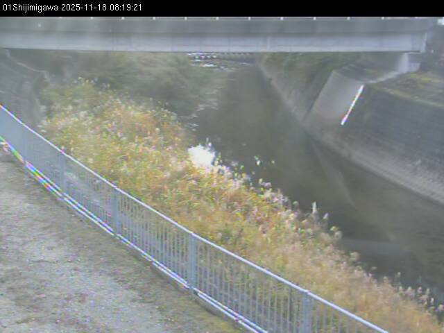 最新監視カメラ画像