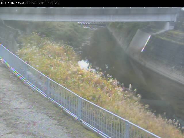 最新監視カメラ画像