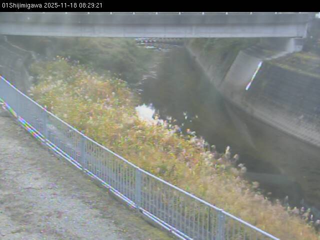 最新監視カメラ画像