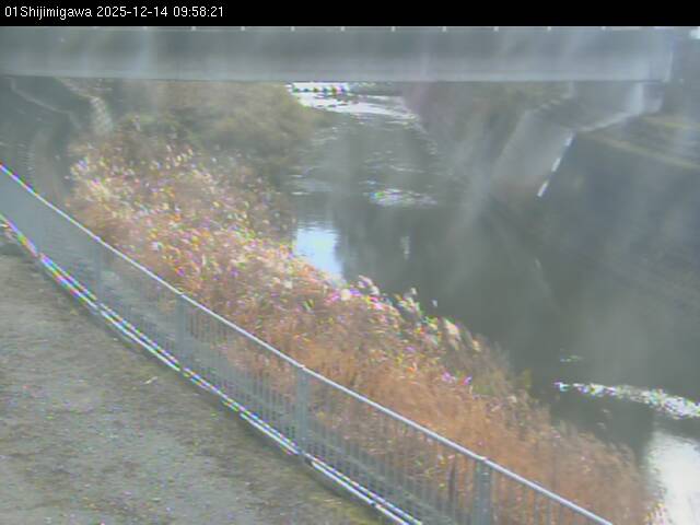 最新監視カメラ画像