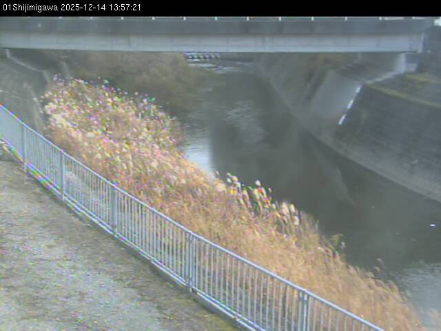 最新監視カメラ画像