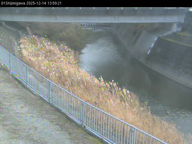 最新監視カメラ画像