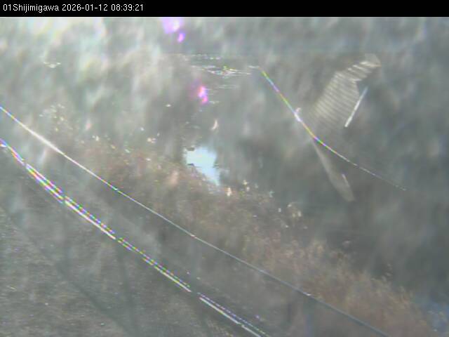 最新監視カメラ画像