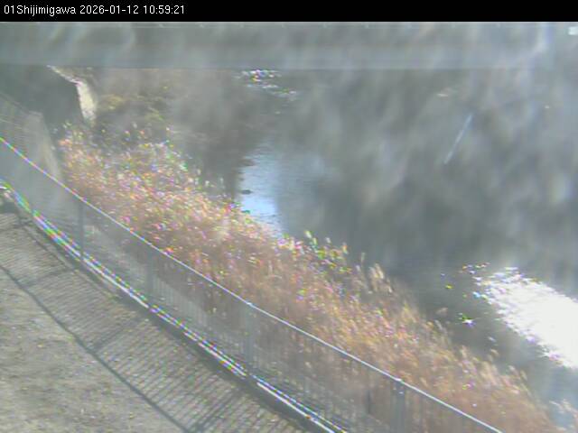 最新監視カメラ画像