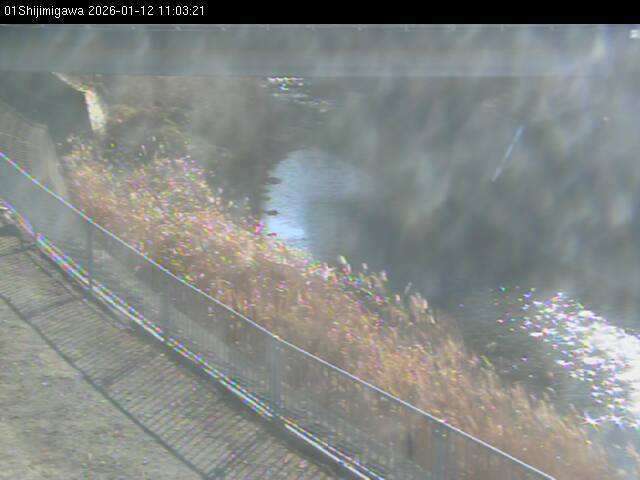 最新監視カメラ画像