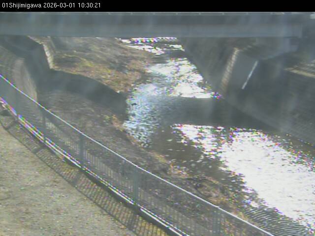 最新監視カメラ画像