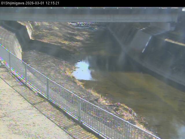 最新監視カメラ画像