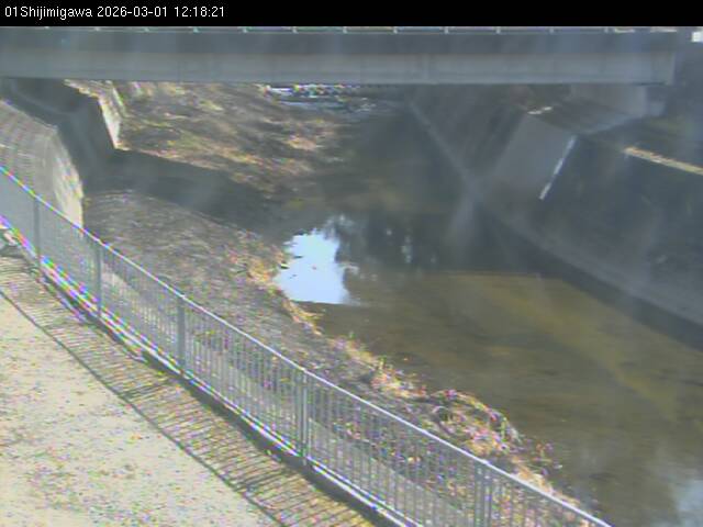 最新監視カメラ画像