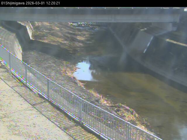 最新監視カメラ画像