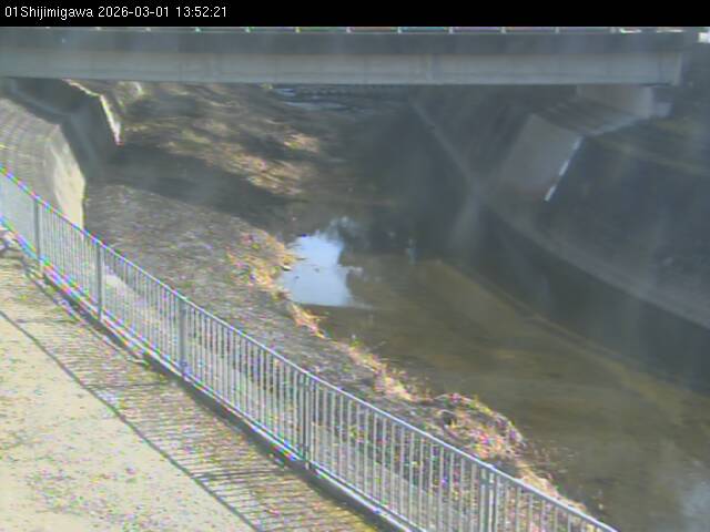 最新監視カメラ画像