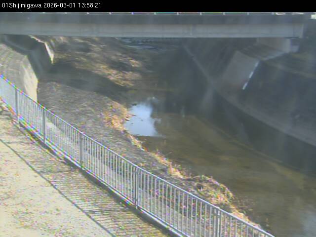 最新監視カメラ画像