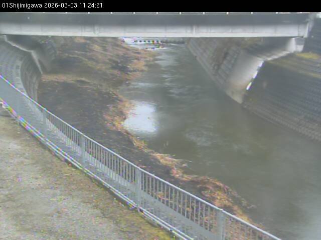 最新監視カメラ画像