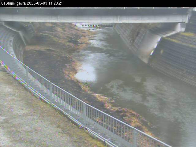 最新監視カメラ画像