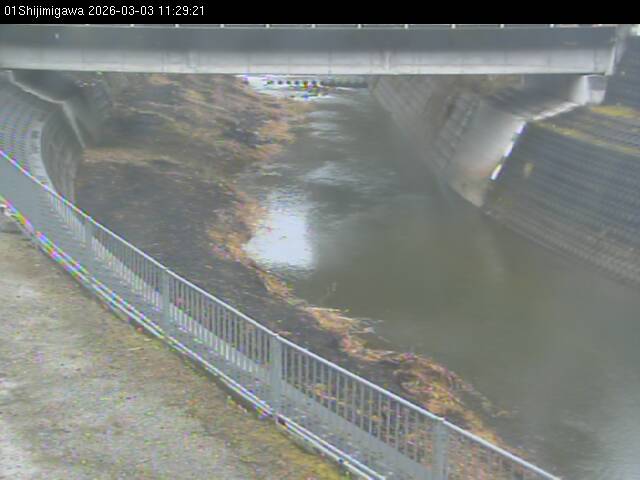 最新監視カメラ画像