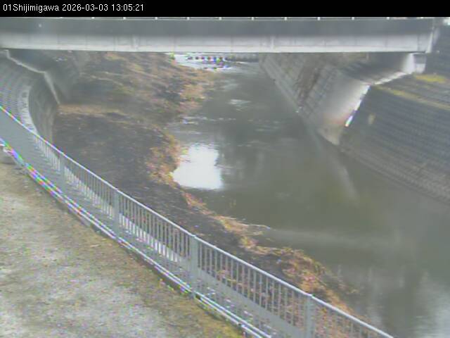 最新監視カメラ画像