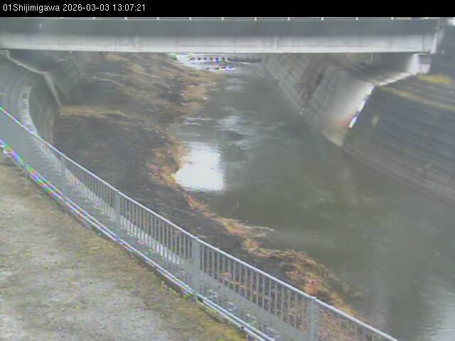 最新監視カメラ画像