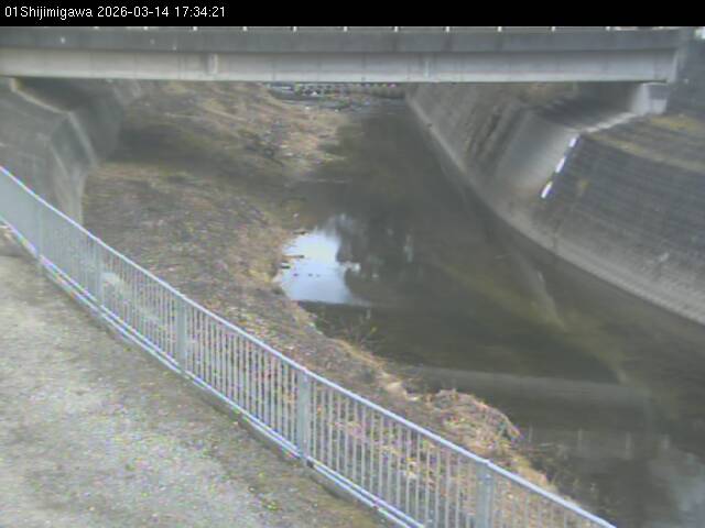 最新監視カメラ画像