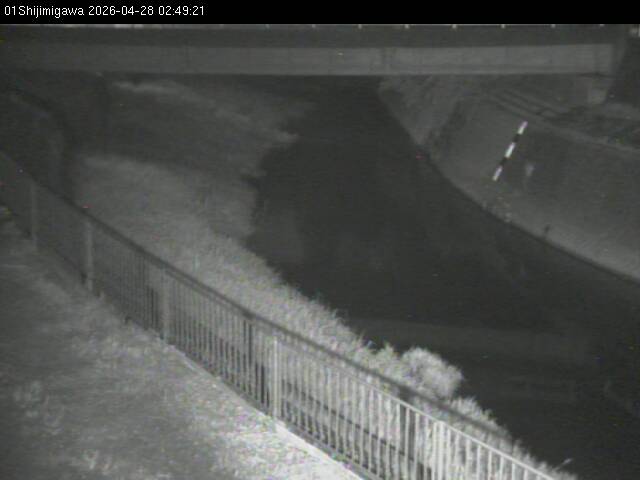 最新監視カメラ画像