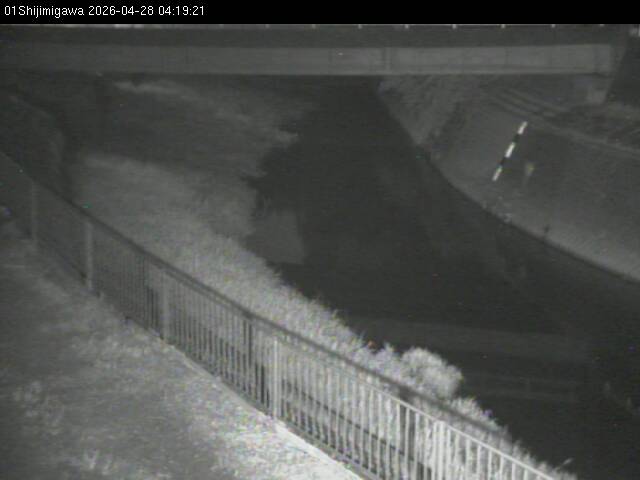 最新監視カメラ画像