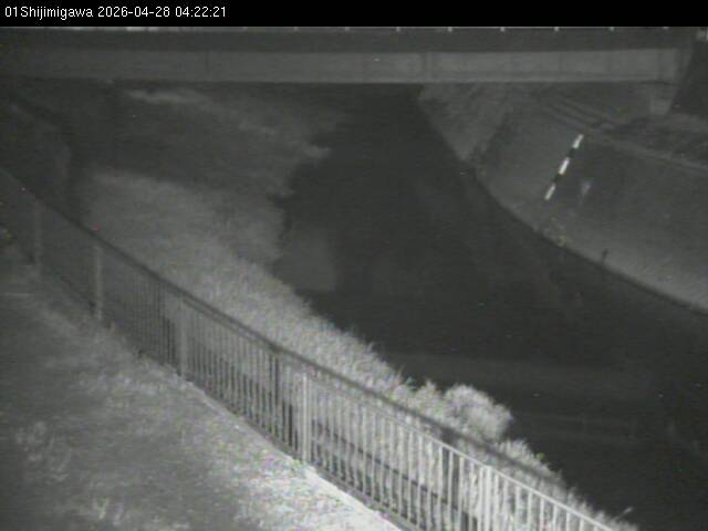 最新監視カメラ画像