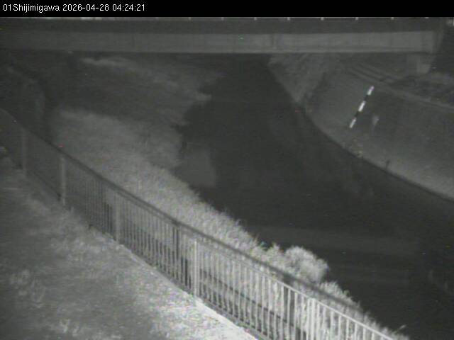 最新監視カメラ画像