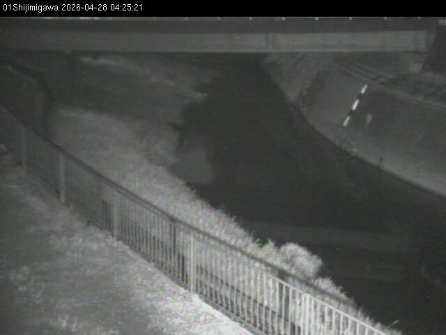 最新監視カメラ画像