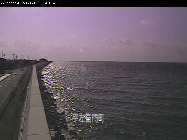 最新監視カメラ画像