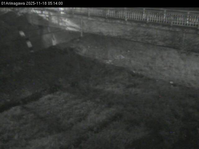 最新監視カメラ画像