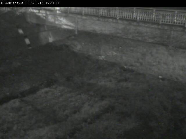 最新監視カメラ画像