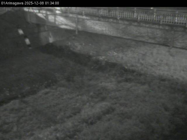 最新監視カメラ画像