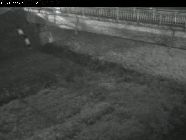 最新監視カメラ画像