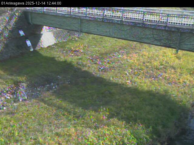 最新監視カメラ画像