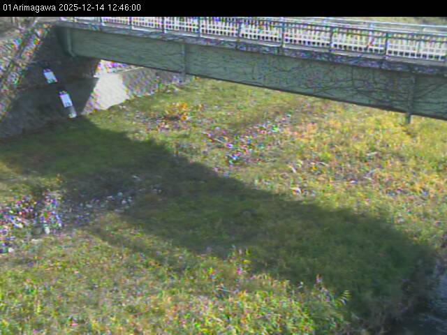 最新監視カメラ画像