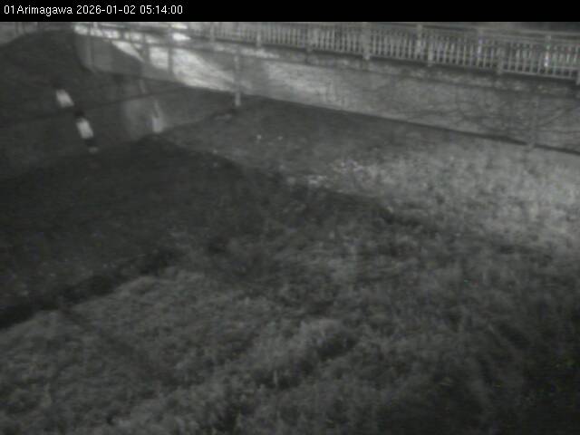 最新監視カメラ画像